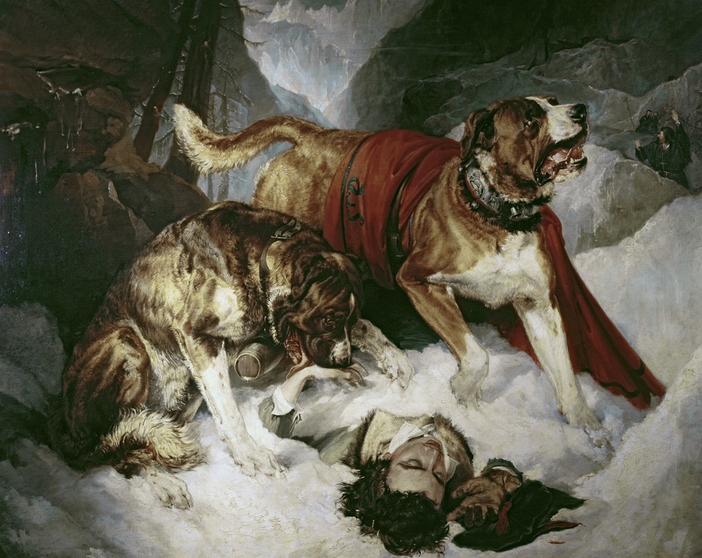 Alpine-Mastiffs-Reanimating-a-Distressed-Traveler